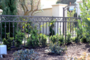 Custom Iron Fences